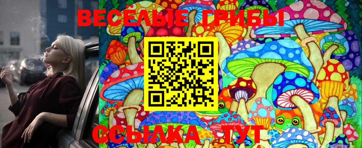 Галлюциногенные грибы Cubensis Красногорск